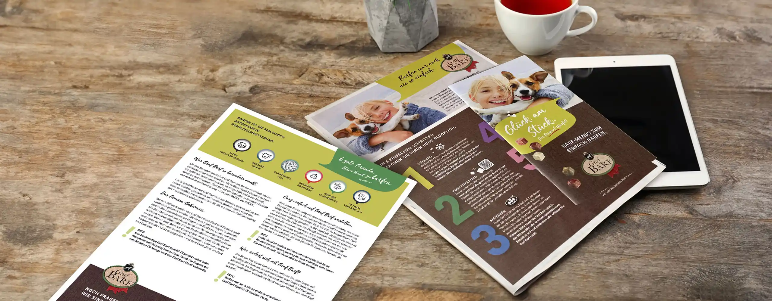 BARF Infomaterial und Flyer