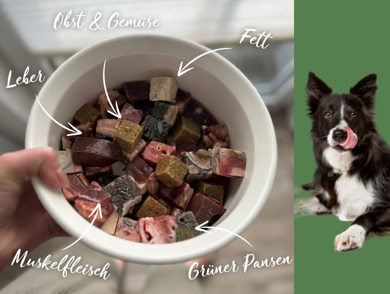 Wie lange dauert die Umstellung von Fertigfutter auf BARF Napf mit Barf-Bestandteilen