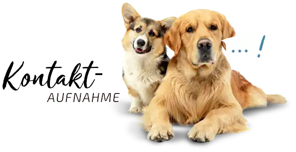 Graf Barf Kontakt Kontaktaufnahme zwei Hunde sitzen nebeneinander
