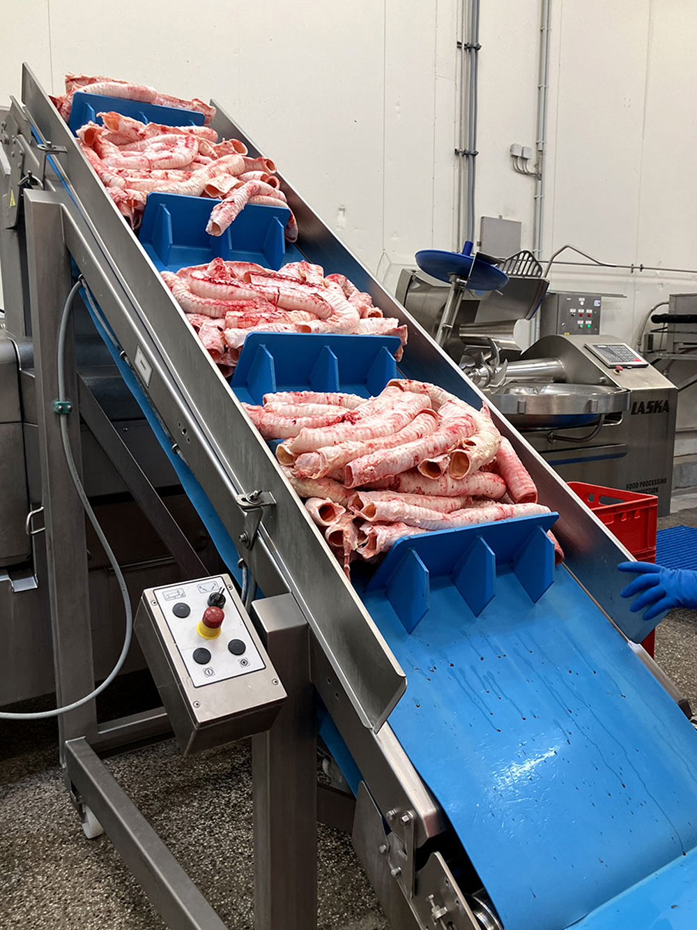 Einblick in die Graf Barf Produktion Einblick in die Graf Barf Produktion