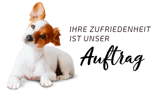 Graf Barf Zufriedenheit Hund neigt Kopf und hebt ein Ohr an: Ihre Zufriedenheit ist unser Auftrag