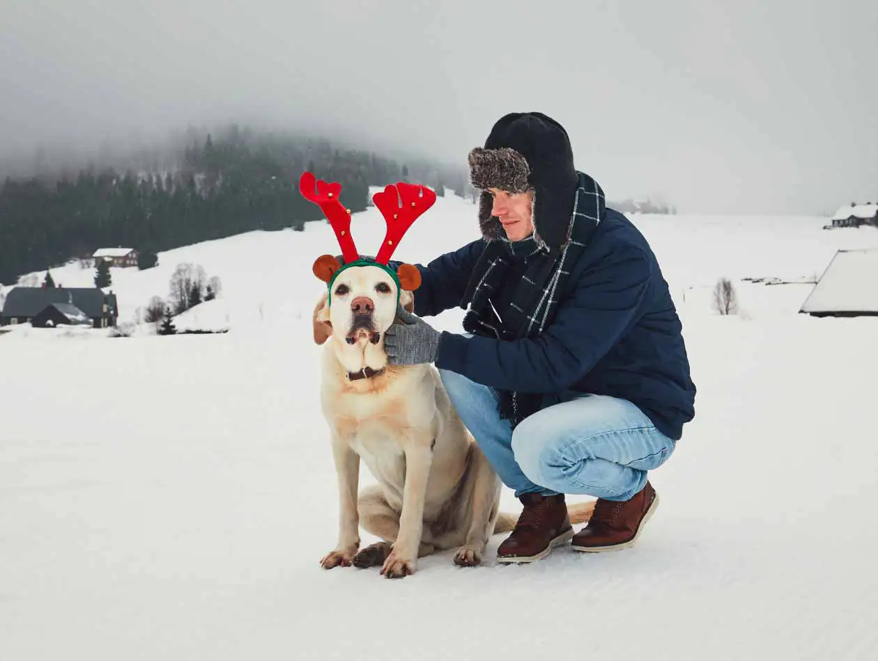 Weihnachten Hund mit Plüschgeweih