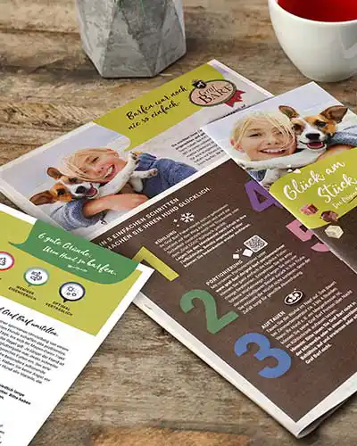 BARF Infomaterial und Flyer