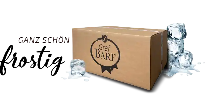 Wie wird Graf Barf versendet Ganz schön frostig Graf Barf Karton umgeben von Eiswürfeln