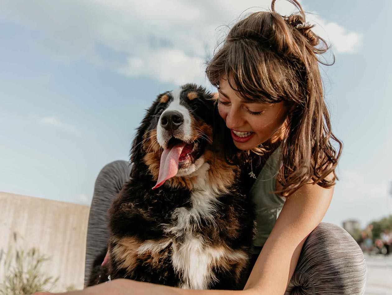 Gemeinsame Zeit Frau knuddelt Berner Sennenhund