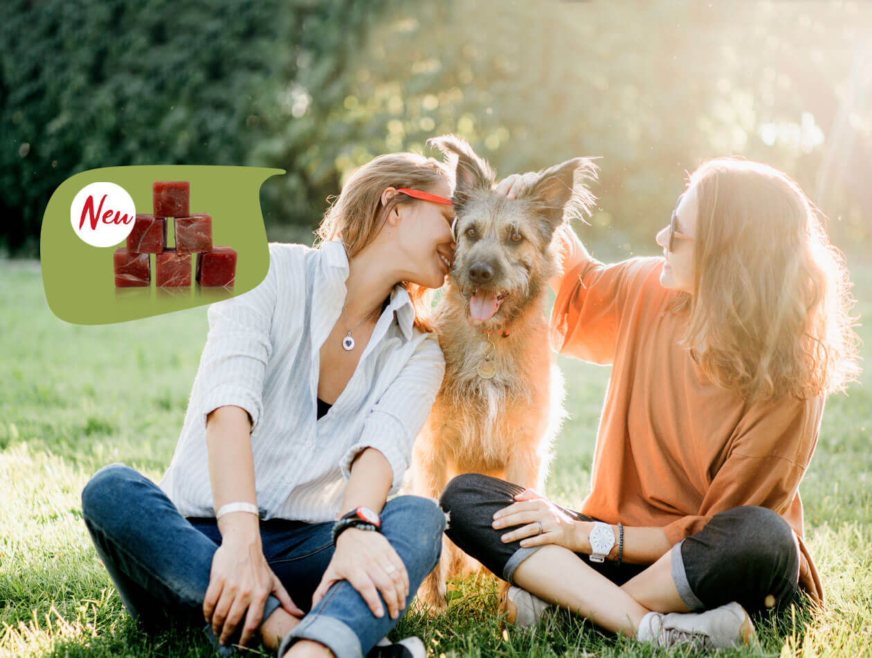Graf Barf Ziege Hund steht zwischen zwei Frauen