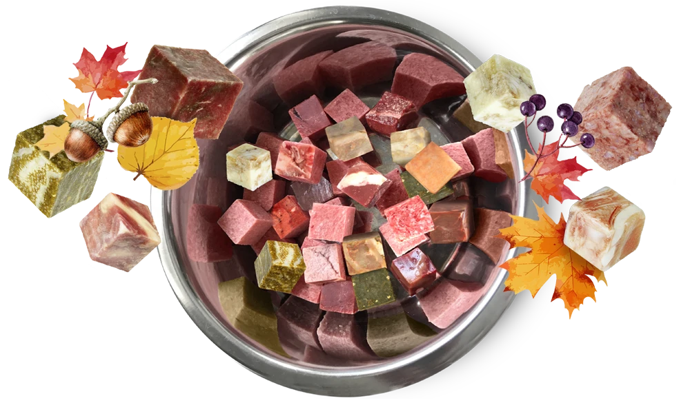 Barffutter in Würfeln für den Herbst Barffutter in Würfeln für den Herbst