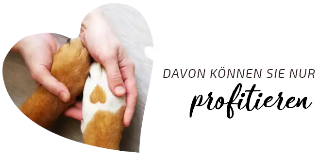 Was bringt Graf Barf Menschen Hände halten Hundepfoten: Davon können Sie nur profitieren