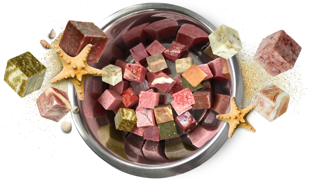 Barffutter in Würfeln für den Sommer