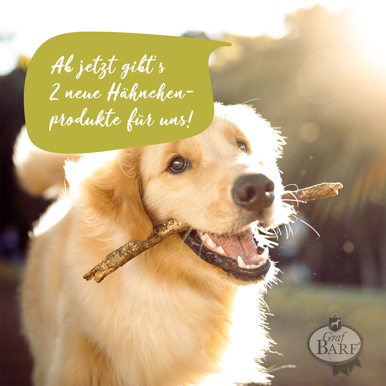 graf-barf-neue-haehnchenprodukte Hund mit Stock im Mund