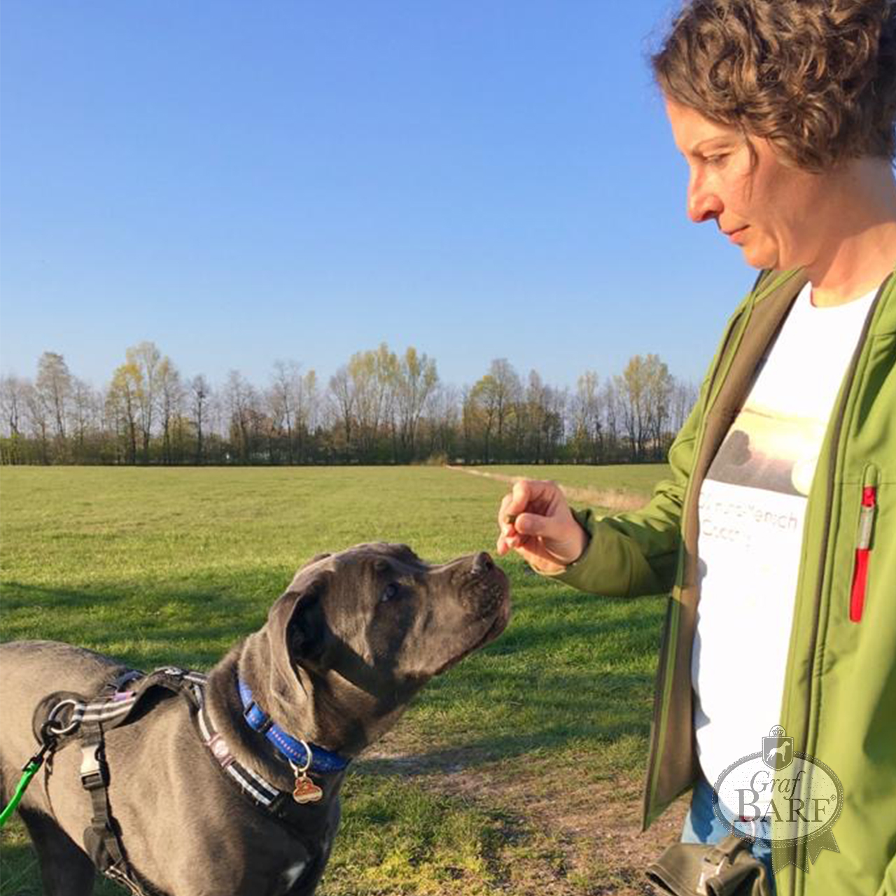 graf-barf-positives-markersignal Sie und Ihr Hund schauen sich an