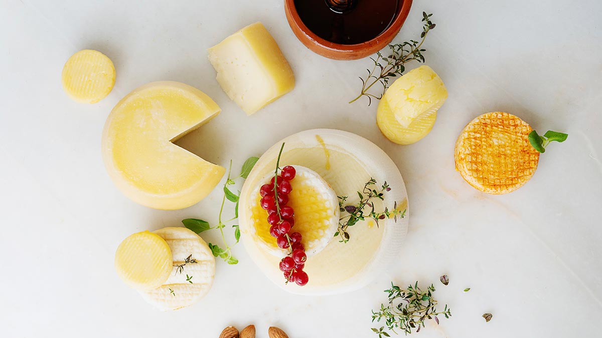 Käse verschiedene Käsesorten