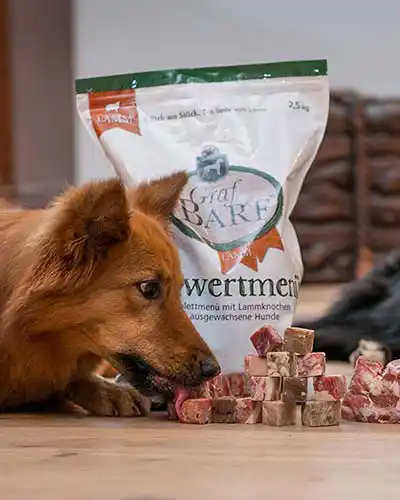 Graf Barf Hund frisst Graf Barf Menü, Menübeutel im Hintergrund