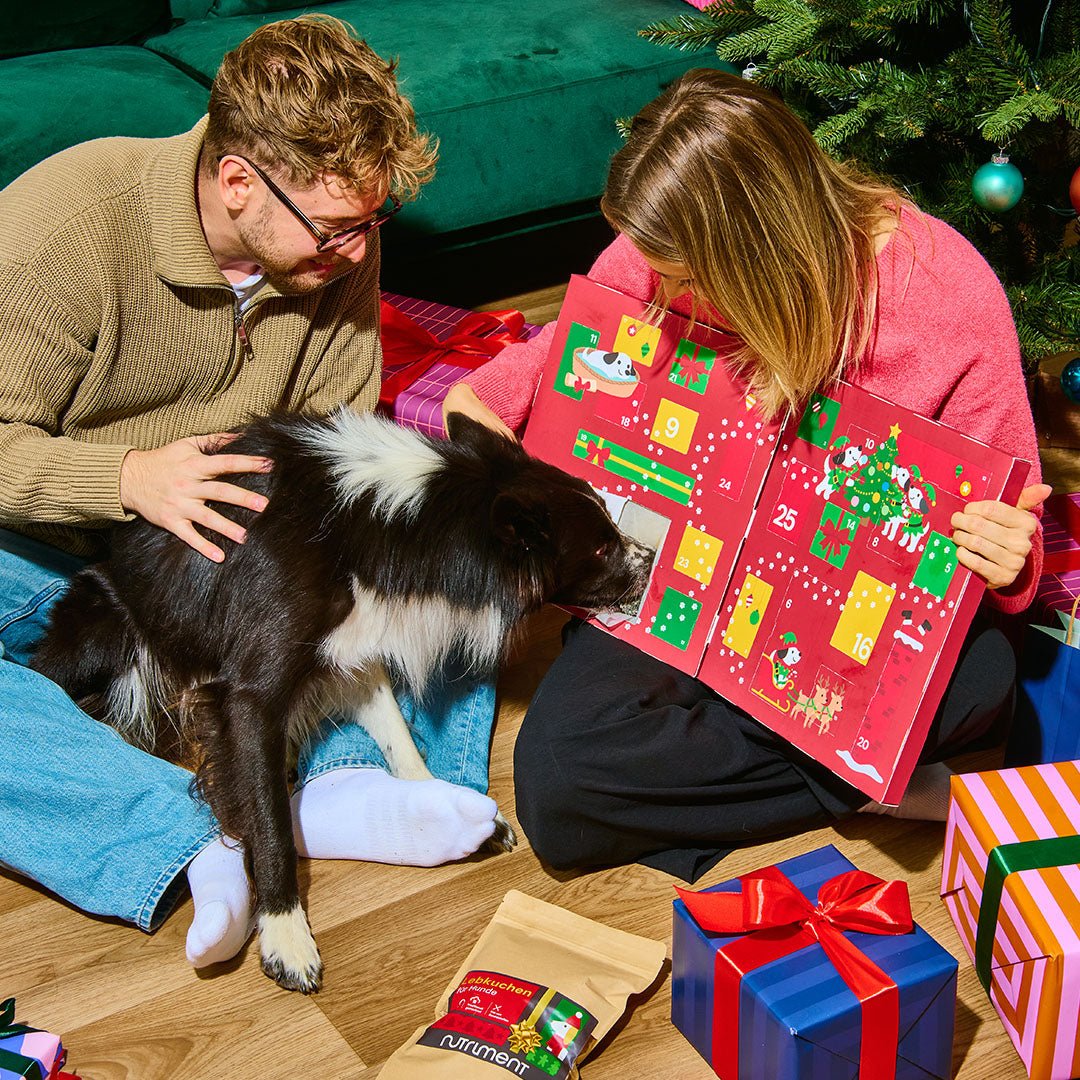 Graf BARF von Nutriment Hunde Adventskalender 2026