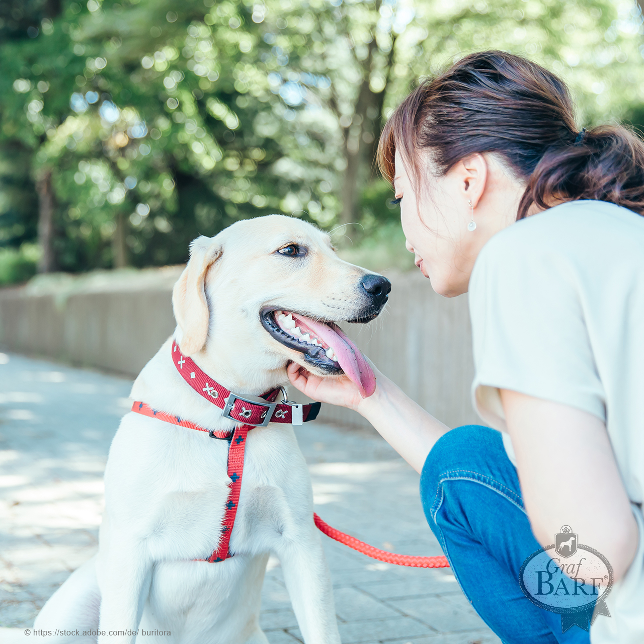 graf-barf-mit-hunden-sprechen Sie spricht mit Ihrem Hund