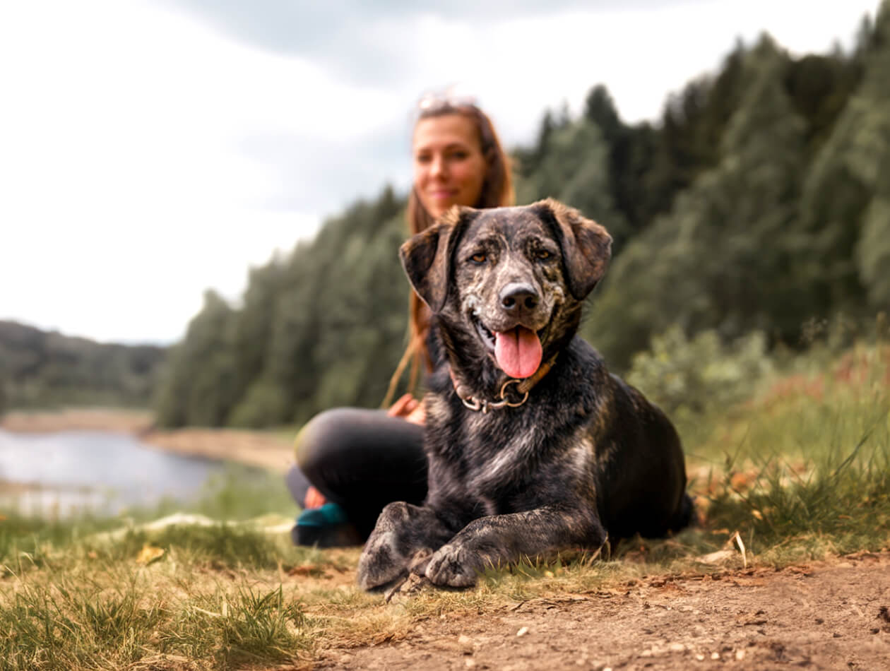 Graf Barf Wasserbüffel Frau sitzt mit Hund am Seeufer