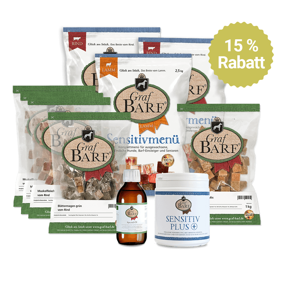 Einsteigerpaket groß