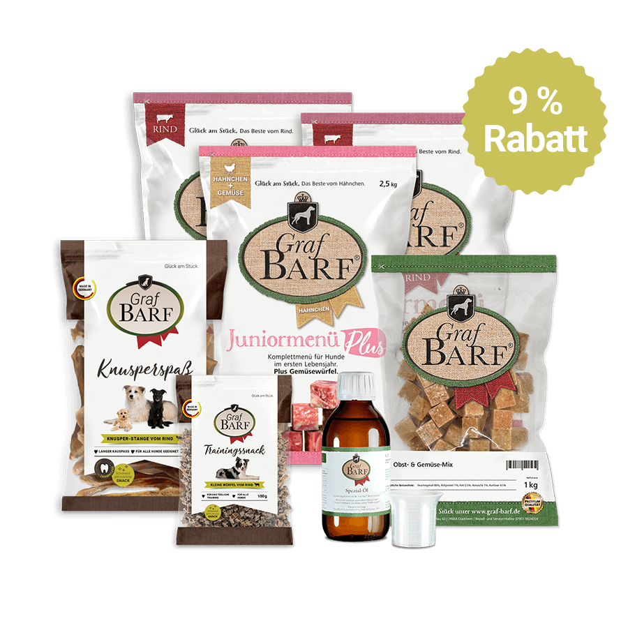 Einsteigerpaket für Junioren