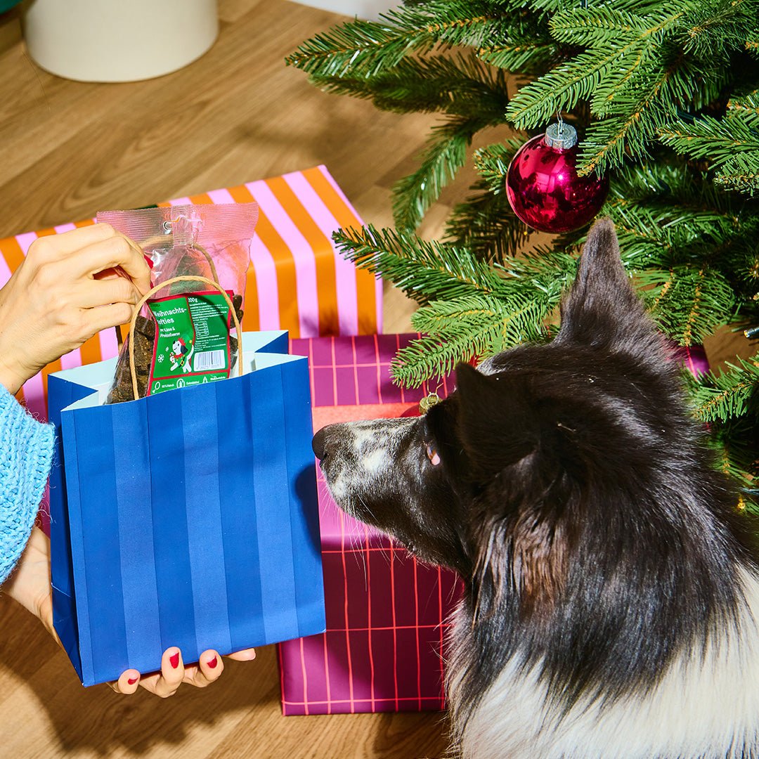 Graf BARF Weihnachtssofties mit Kaese und Preiselbeere