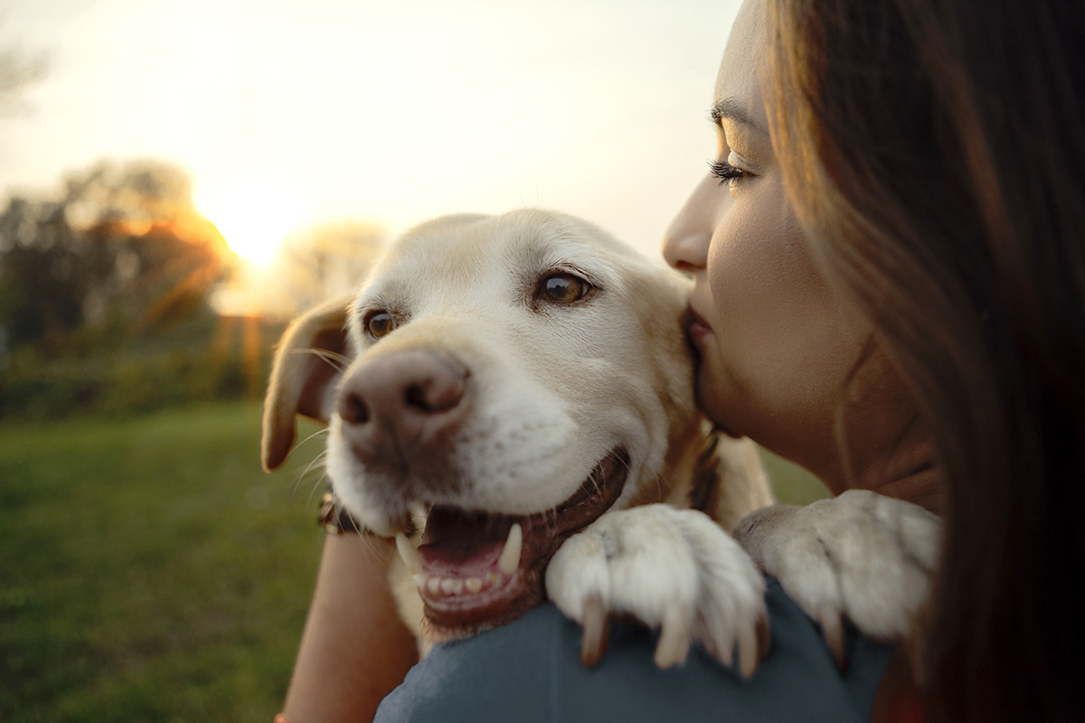 Beste Freunde Frau kuschelt mit Hund im Abendlicht