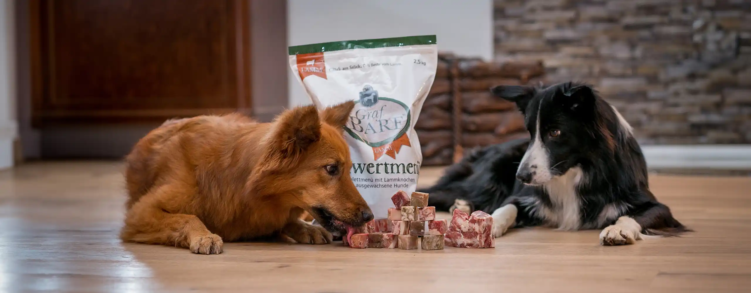zwei Hunde teilen sich Graf Barf Menü