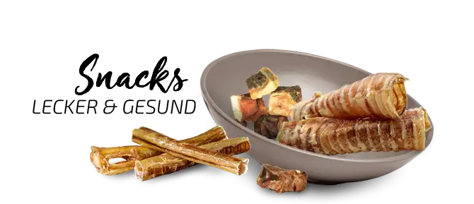 Graf Barf Snacks Snacks Lecker und Gesund Schüssel mit Graf Barf Leckereien