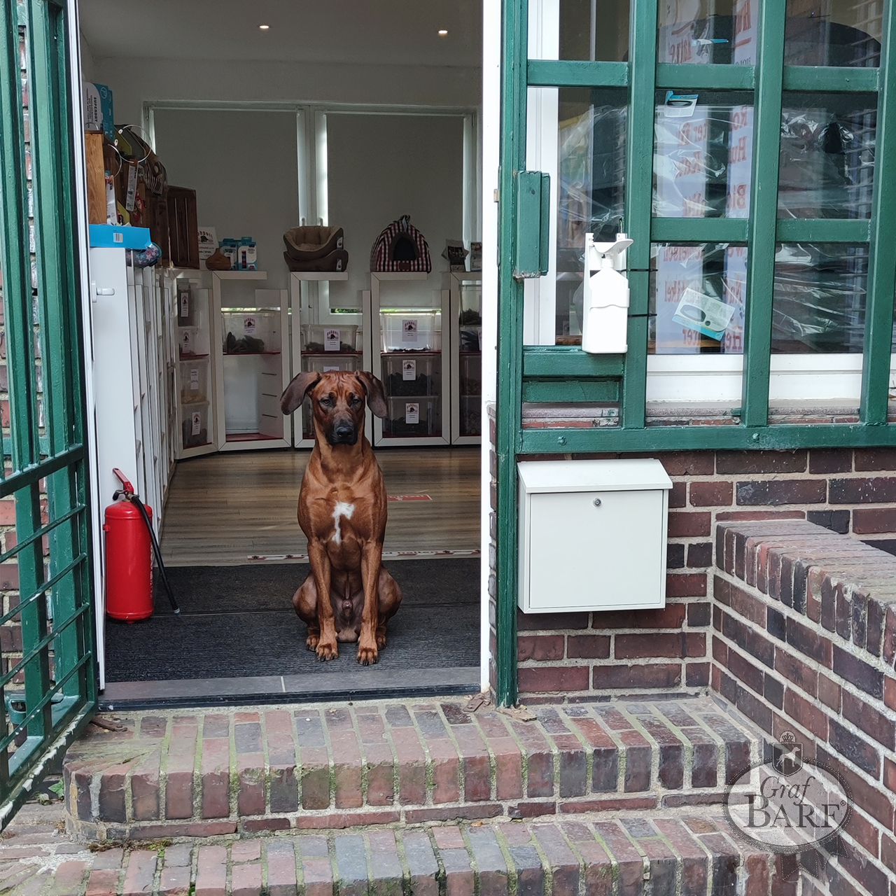 graf-barf-rohpott-1 Hund sitzt im Laden