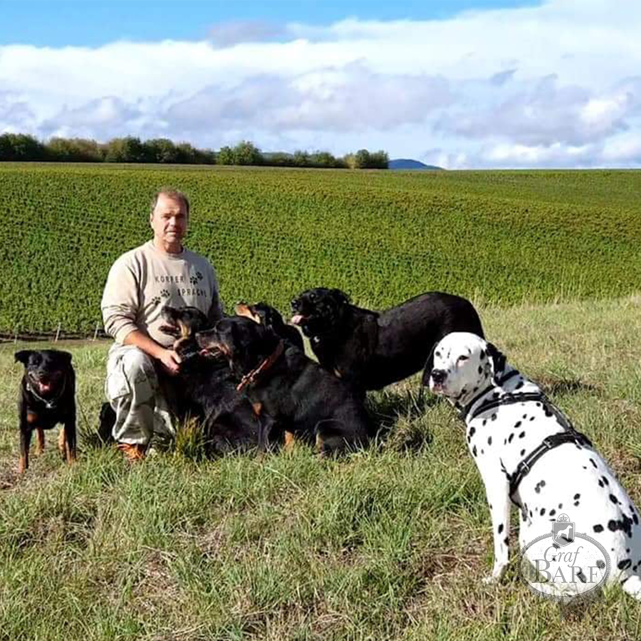graf-barf-hundetrainer-paul-1 viele Schwarze Hunde, Ihr Besitzer und ein Dalmatiner