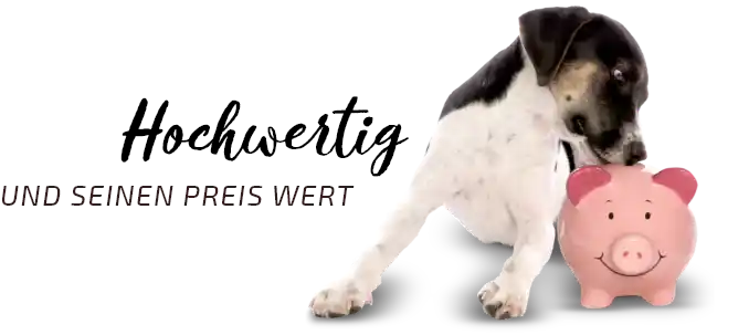 Graf Barf teuer? Hochwertig und seinen Preis wert Hund schnüffelt an Sparschwein