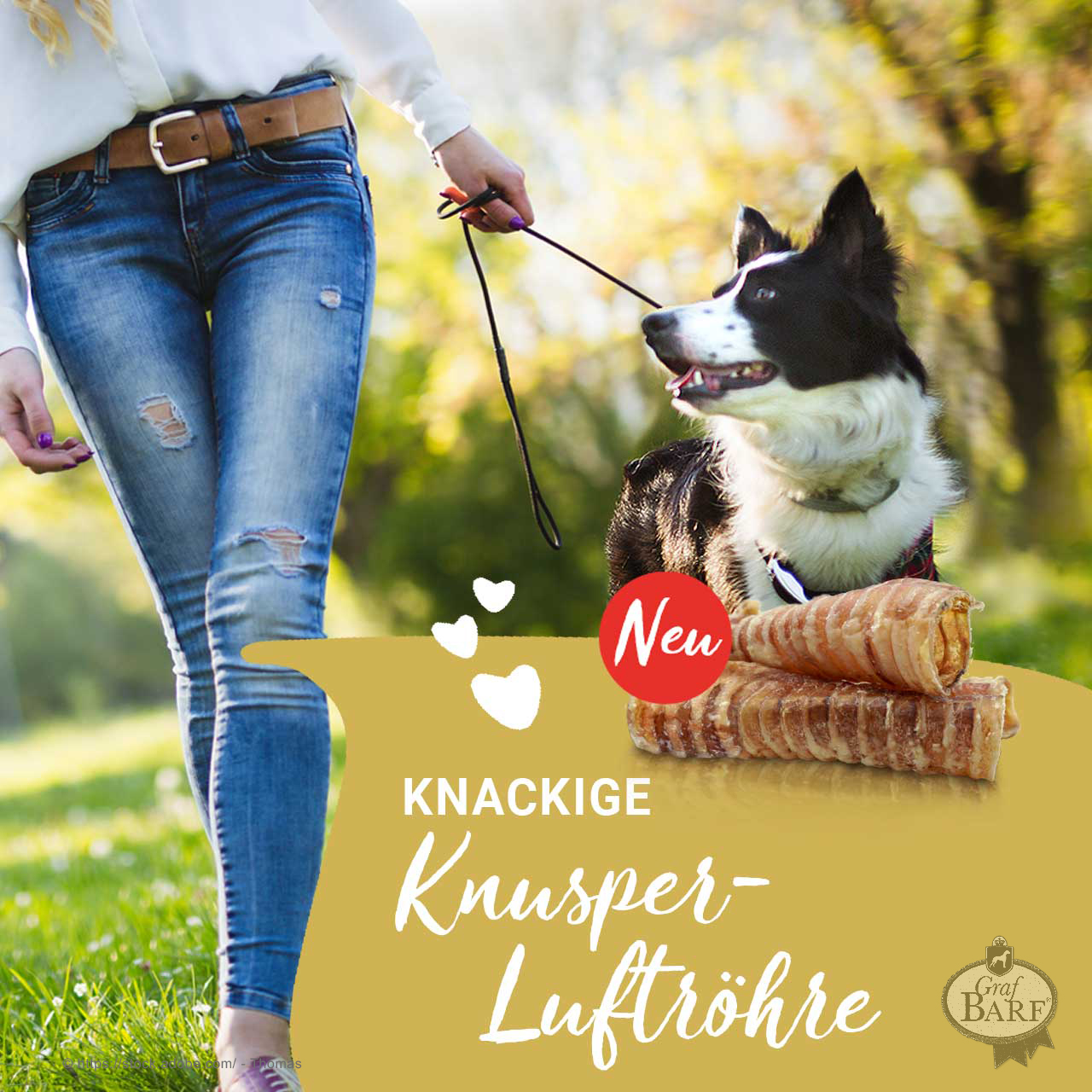graf-barf-knusper-luftroehre Eine Frau läuft mit Ihrem Hund an der Leine
