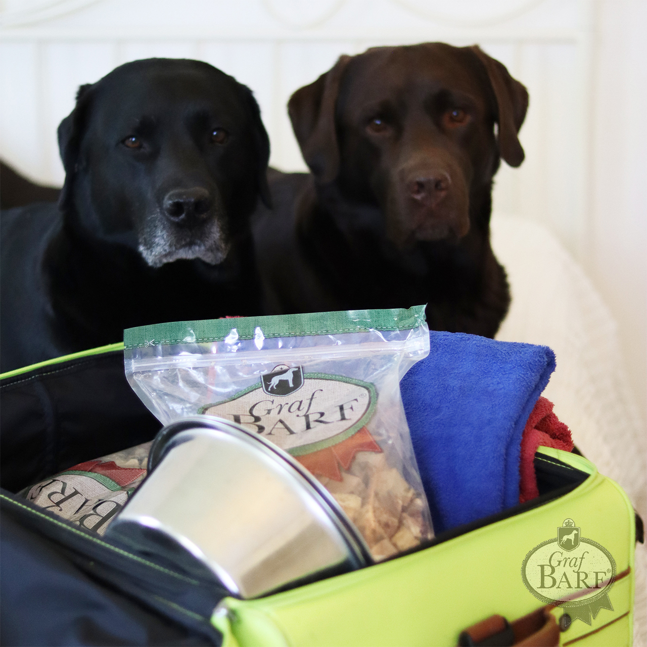 graf-barf-urlaub-mit-hund-final 8 Tipps: Urlaub mit Hund