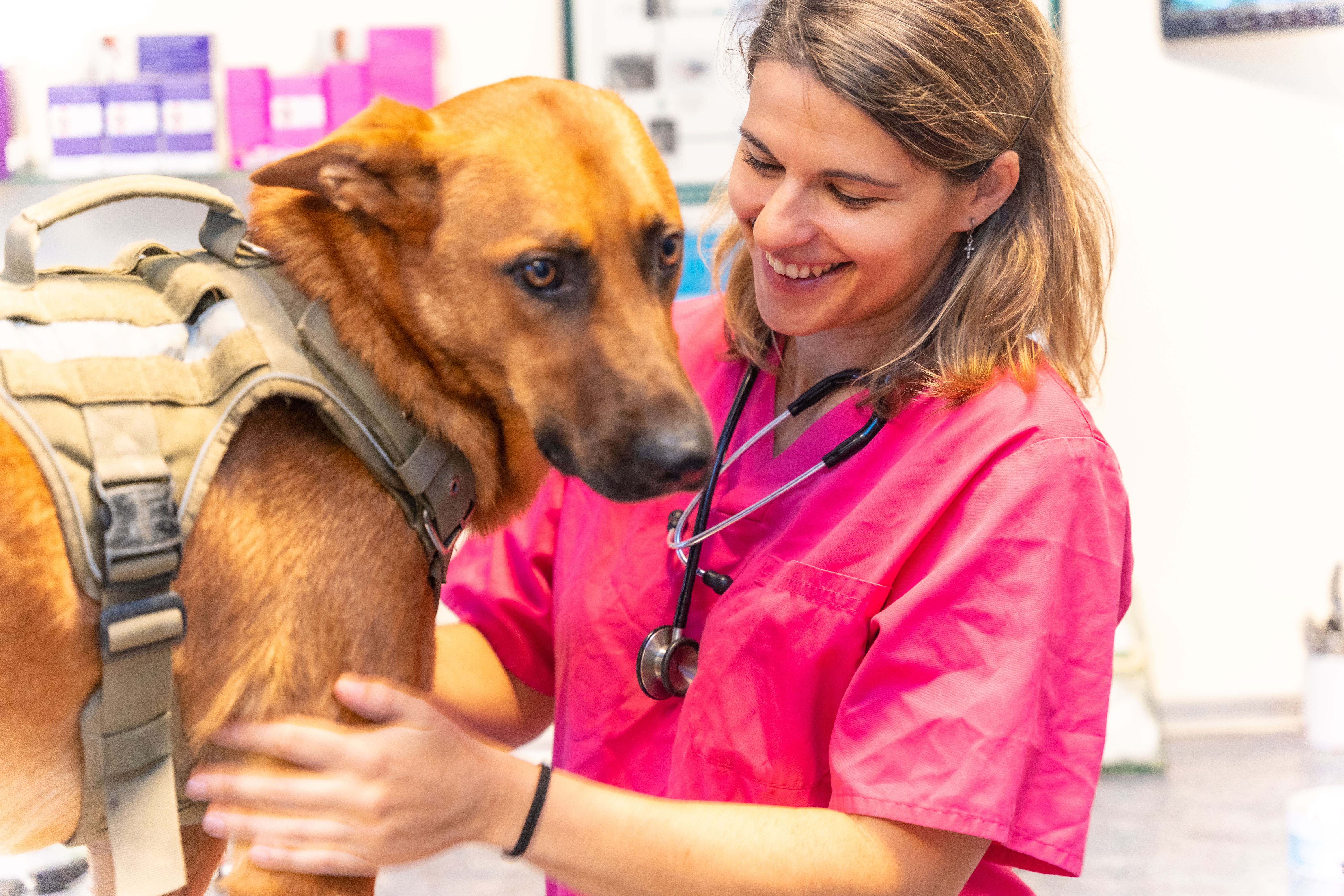Hunde Untersuchung Lächelnde Tierärztin mit Hund
