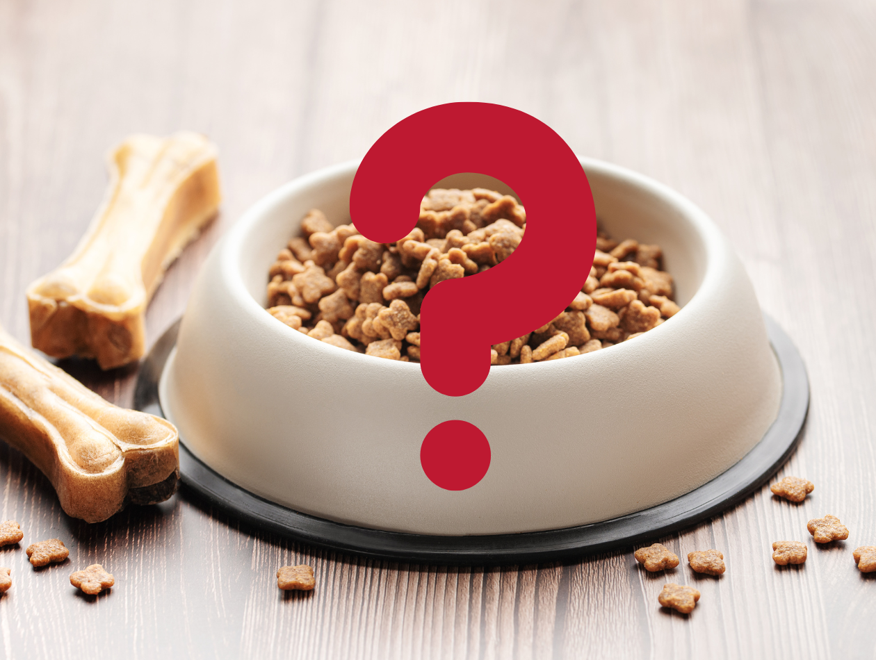 Kann man Barf und Trockenfutter mischen Napf mit Trockenfutter und Kauknochen