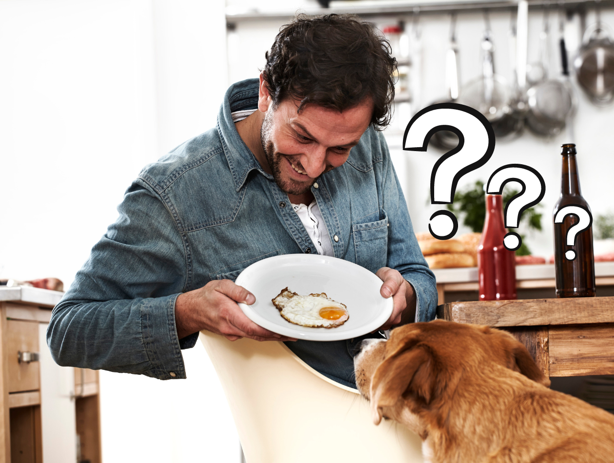 Ist Ei gesund für Hunde Mann präsentiert Hund Spiegelei