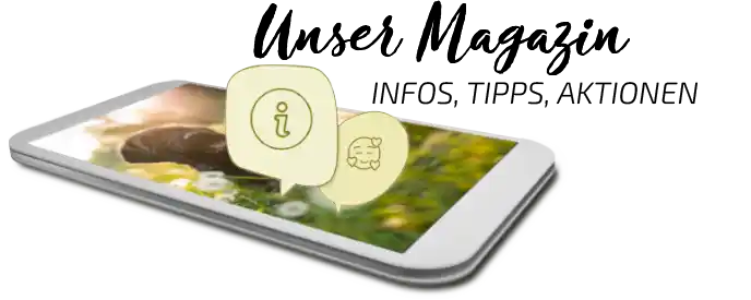 Barf Magazinbeiträge auf dem Smartphone Barf Magazinbeiträge auf dem Smartphone